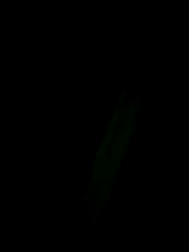 Snapshot of Marleymols chatting on December 2, 1:55 am Marleymols online show from December 2, 1:55 am