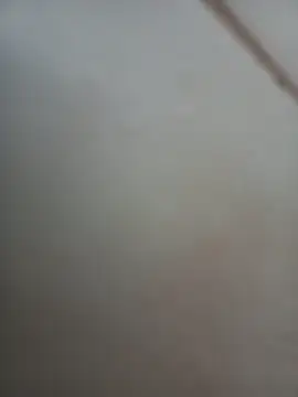 Jobson40 online show from November 1, 12:01 am