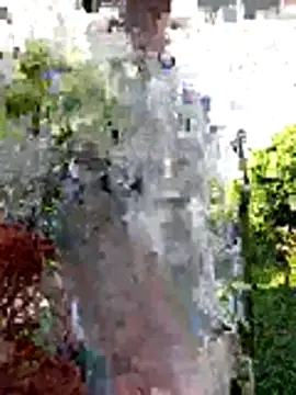 AlphaAlterX online show from December 20, 12:34 pm