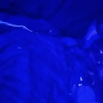 johnboones10 online show from March 4, 9:15 am