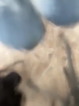 Adele Pinkk online show from October 2, 2:13 pm