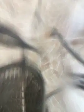 Adele Pinkk online show from October 17, 1:14 pm