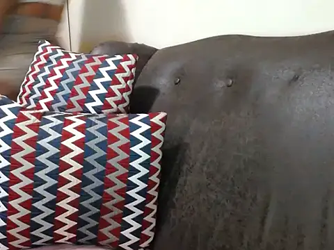 Snapshot of bustylaura4u chatting on July 28, 10:53 pm bustylaura4u online show from July 28, 10:53 pm