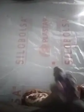 Snapshot of Kaygsy chatting on December 17, 6:58 pm Kaygsy online show from December 17, 6:58 pm