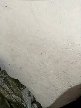 Snapshot of Marianasapequinha chatting on September 15, 6:57 am Marianasapequinha online show from September 15, 6:57 am