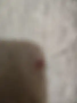 Snapshot of sert_erkekk chatting on January 13, 9:42 pm sert erkekk online show from January 13, 9:42 pm