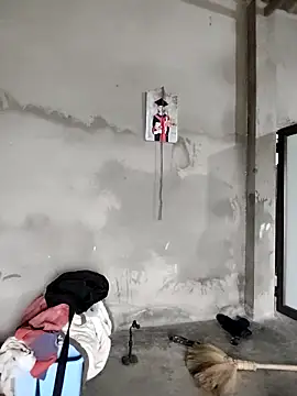 Tin tanny online show from February 11, 1:10 am