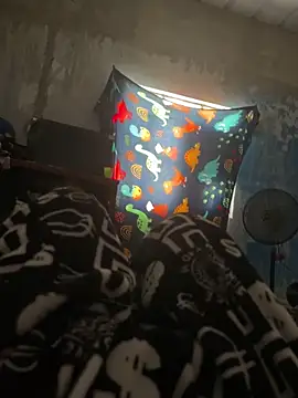 Snapshot of FromVnz chatting on November 15, 12:45 pm FromVnz online show from November 15, 12:45 pm