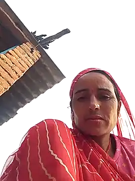 Jalebi bay online show from October 15, 2:22 am