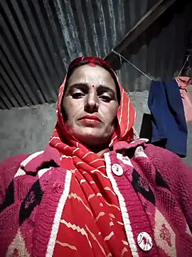 Jalebi bay online show from November 12, 1:00 pm