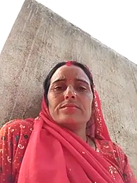 Jalebi bay online show from November 23, 10:04 am