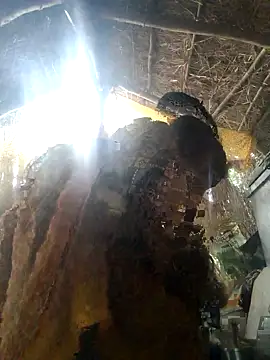 LUCKY cut online show from November 22, 3:05 am