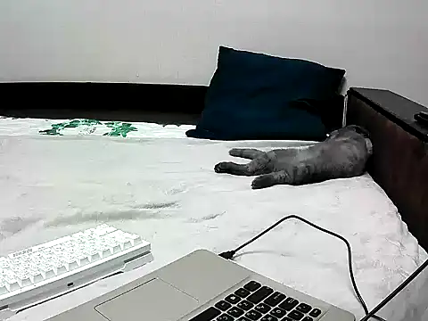 black lany online show from September 22, 2:41 pm