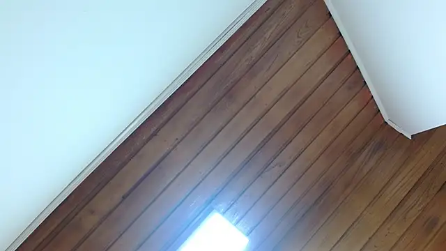 amara rousse1 online show from November 27, 1:02 pm