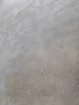 ritwesh online show from October 12, 7:57 pm