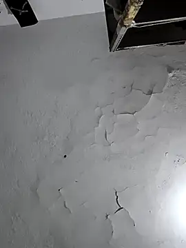 Ferxxxo1503 online show from February 6, 5:45 am