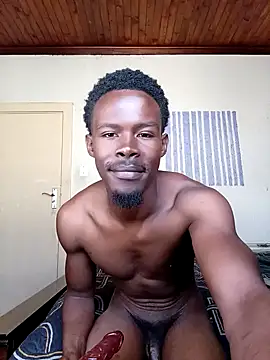 donchico0 online show from November 5, 7:41 am