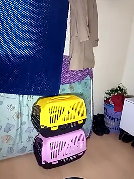 Snapshot of kittymutant99 chatting on December 22, 8:39 pm kittymutant99 online show from December 22, 8:39 pm