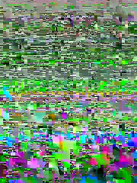luzmelzinha online show from May 2, 5:34 am