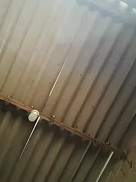 Snapshot of kiimferv chatting on November 10, 2:38 pm kiimferv online show from November 10, 2:38 pm