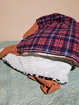 Snapshot of Ansiasex chatting on November 17, 2:17 am Ansiasex online show from November 17, 2:17 am