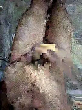 ash706339 online show from September 19, 6:52 pm