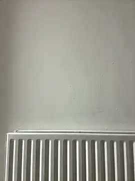 Snapshot of dlasian2026 chatting on October 31, 11:06 pm dlasian2026 online show from October 31, 11:06 pm