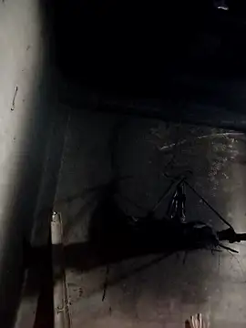 Dung x online show from January 10, 1:02 pm