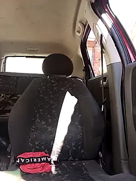 IssuedEcho online show from February 28, 11:44 am