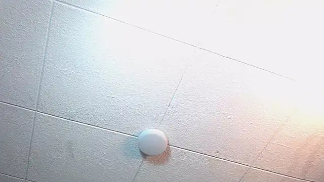 RichardMilleer online show from November 12, 2:17 pm