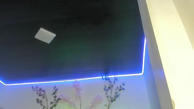 Snapshot of abbiecollins_js chatting on June 17, 4:26 am abbiecollins js online show from June 17, 4:26 am