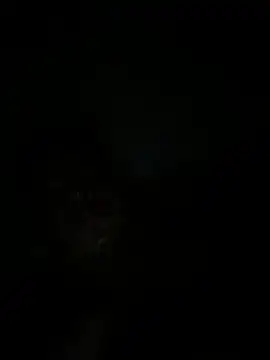 RangingWarranty online show from October 20, 7:20 am