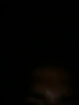 RangingWarranty online show from April 3, 10:35 am