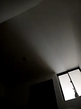 zamir adam online show from October 20, 12:05 pm