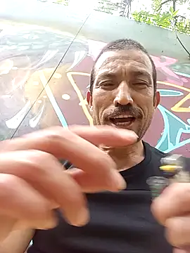 zamir adam online show from November 14, 3:22 pm