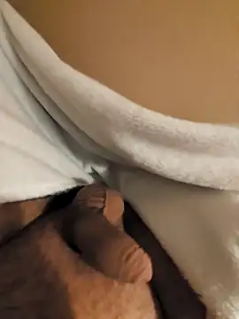 Snapshot of verjaya chatting on November 15, 10:26 pm verjaya online show from November 15, 10:26 pm