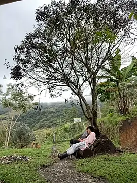 Snapshot of sky-wolves chatting on October 18, 4:19 pm sky-wolves online show from October 18, 4:19 pm