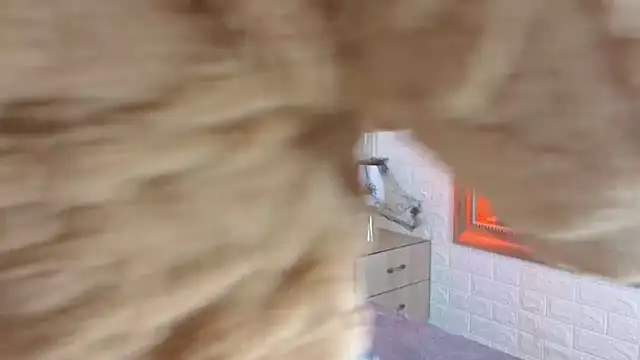 Snapshot of sofiagutierrez__ chatting on October 9, 3:04 am sofiagutierrez online show from October 9, 3:04 am