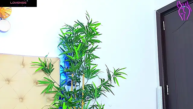 Snapshot of CoraVex chatting on September 17, 4:25 am CoraVex online show from September 17, 4:25 am