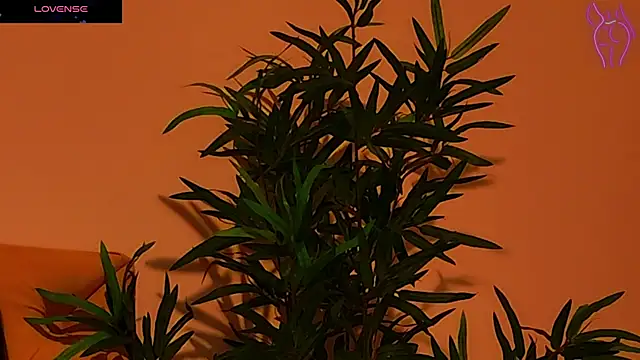 CoraVex online show from September 25, 4:27 am