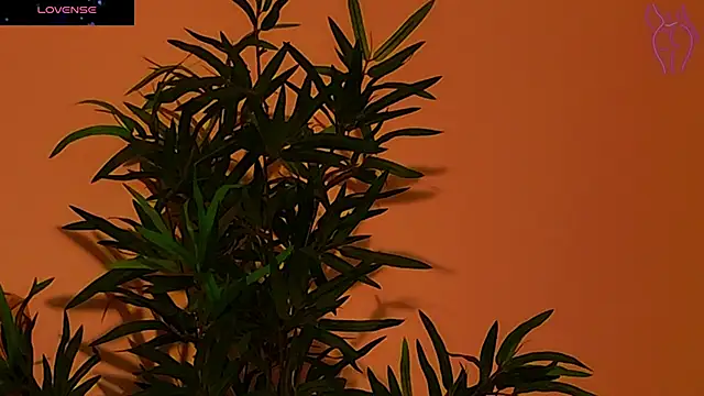 Snapshot of CoraVex chatting on September 26, 4:27 am CoraVex online show from September 26, 4:27 am