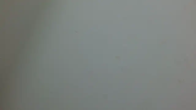 cristal1609 online show from May 14, 1:07 pm