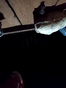 callistra online show from December 2, 2:56 pm