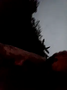 callistra online show from March 13, 11:28 am