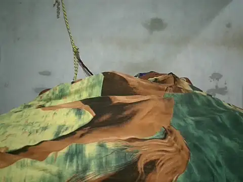 Alcee490 online show from October 23, 3:17 am