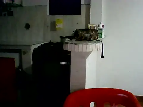 XavierFox1 online show from November 18, 3:45 am