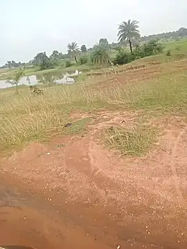 AgitatedStrip9 online show from September 22, 2:35 am