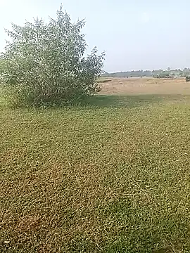 AgitatedStrip9 online show from October 1, 2:17 am