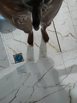 DICKLANKA online show from January 18, 3:05 pm