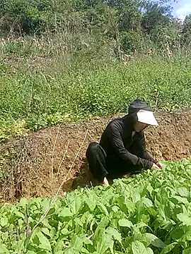 Snapshot of Norah-h chatting on October 30, 2:24 am Norah-h online show from October 30, 2:24 am